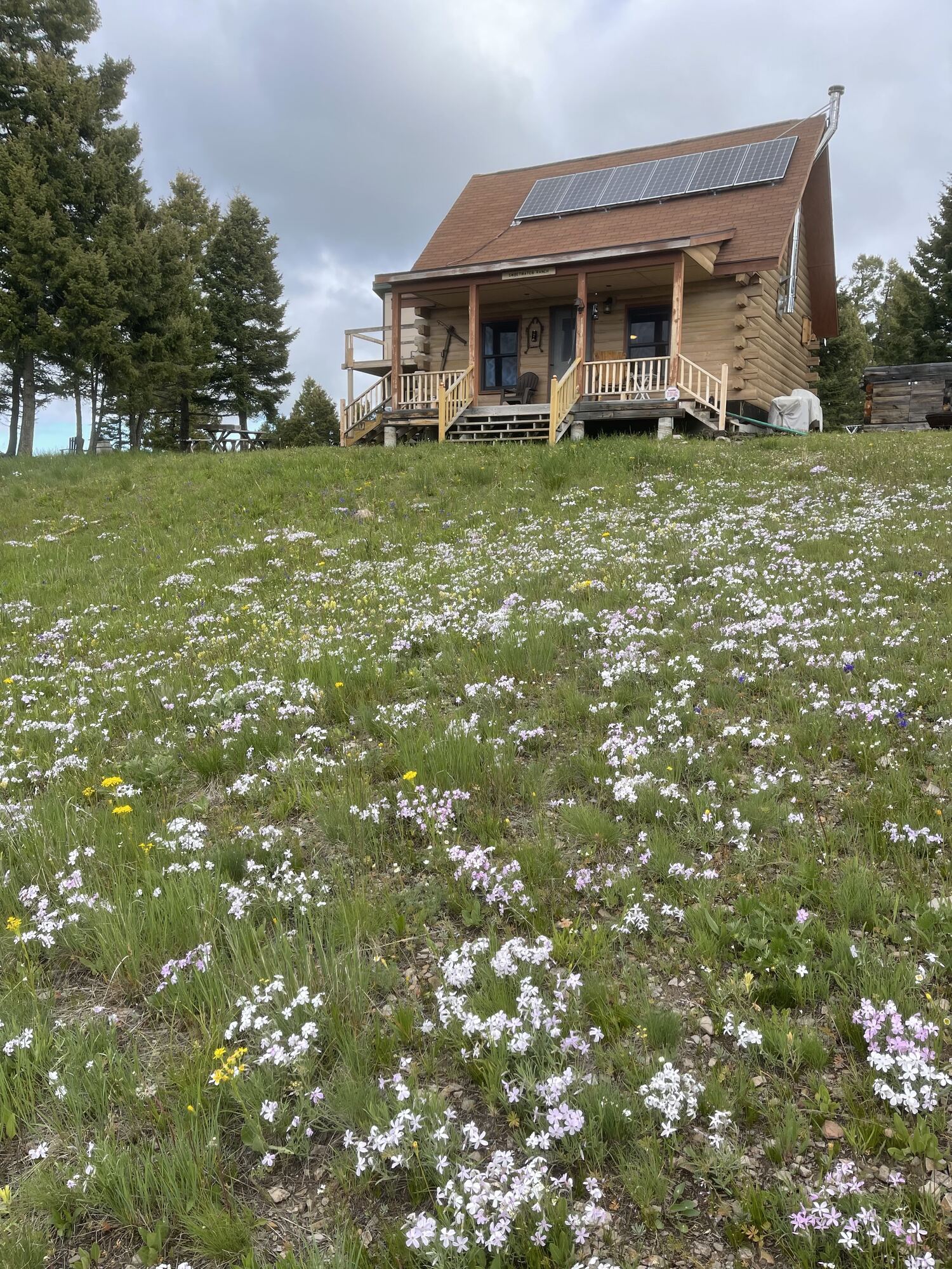 The Main Cabin at Sweetwater Ranch on its rise above a wildflower meadow — log walls, a covered porch, and a roof-mounted solar panel under a wide Montana sky