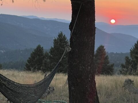 A hammock strung from a pine with the sun setting over the mountains