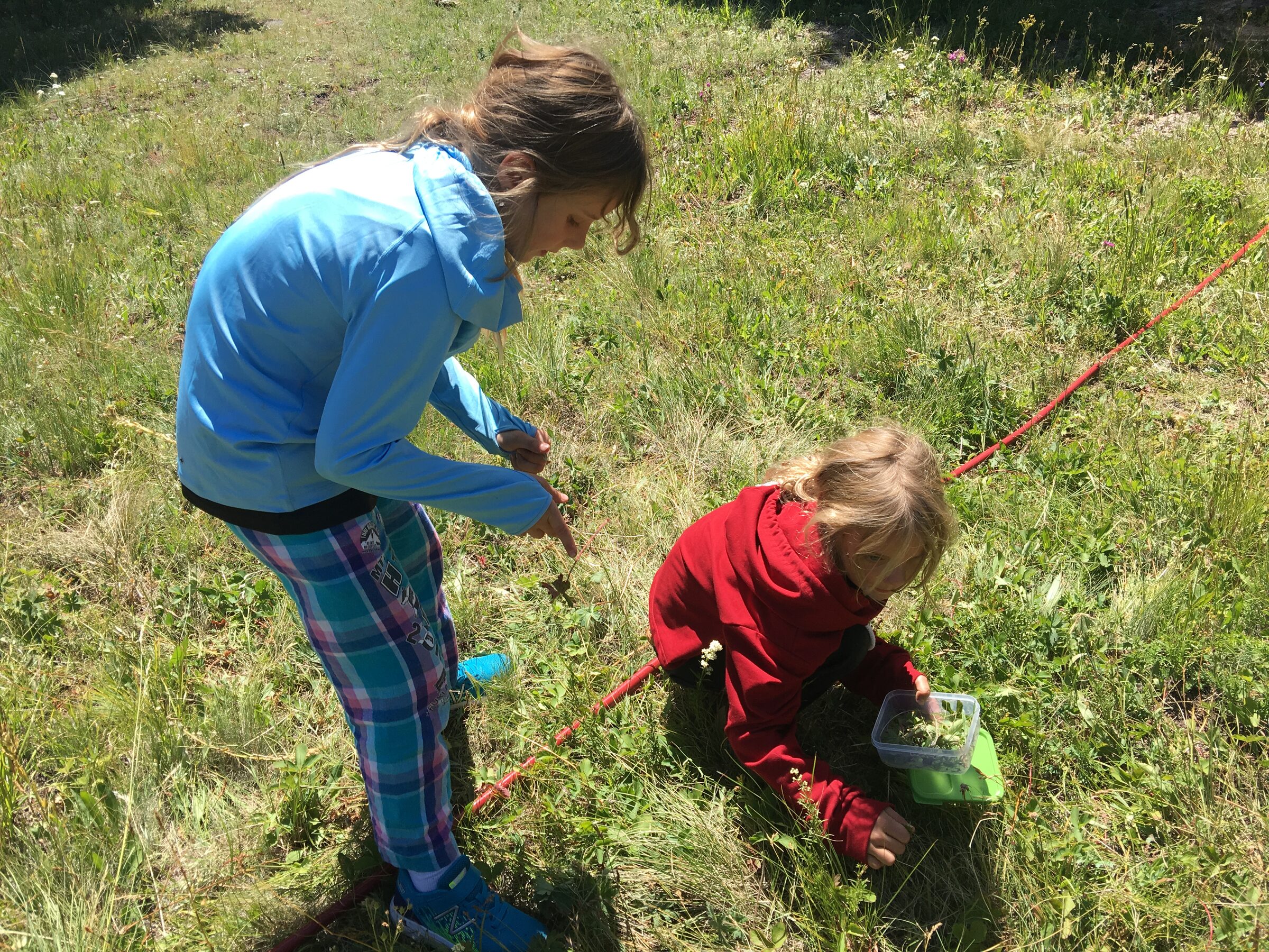 Two young girls crouched in the summer meadow at Sweetwater Ranch, gathering wildflowers