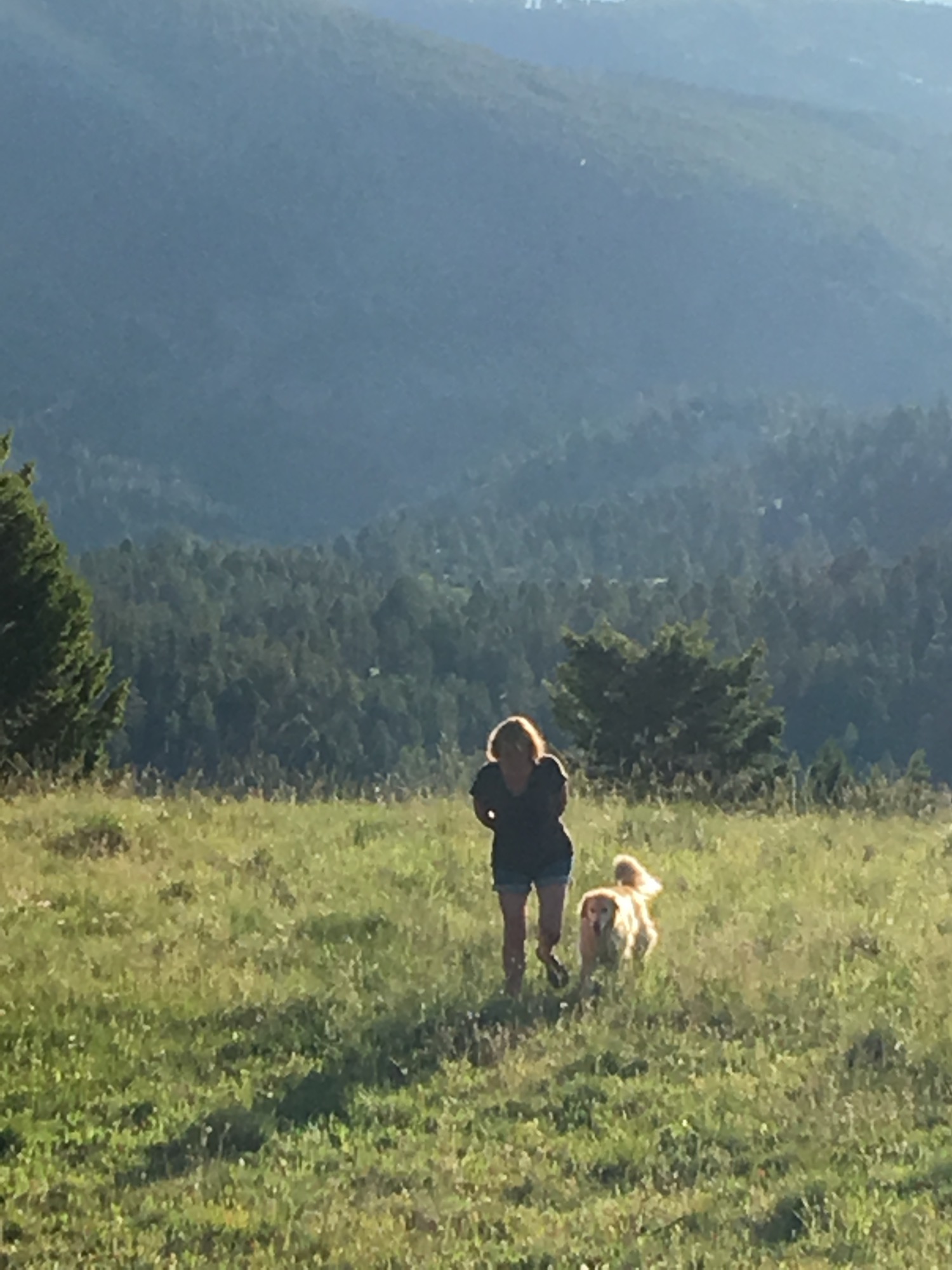A woman and a golden retriever walking up a high meadow toward forested mountains at Sweetwater Ranch in evening light