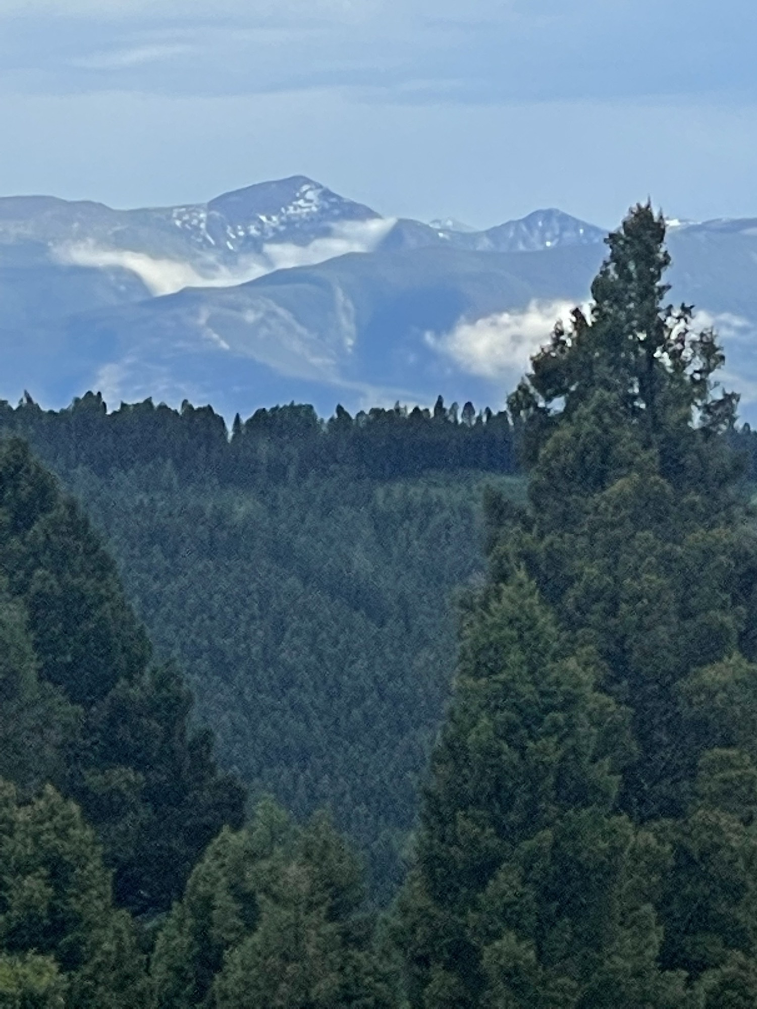 Snow-capped Montana peaks beyond forested ridges, seen from the Sweetwater Ranch mountaintop above Gold Creek